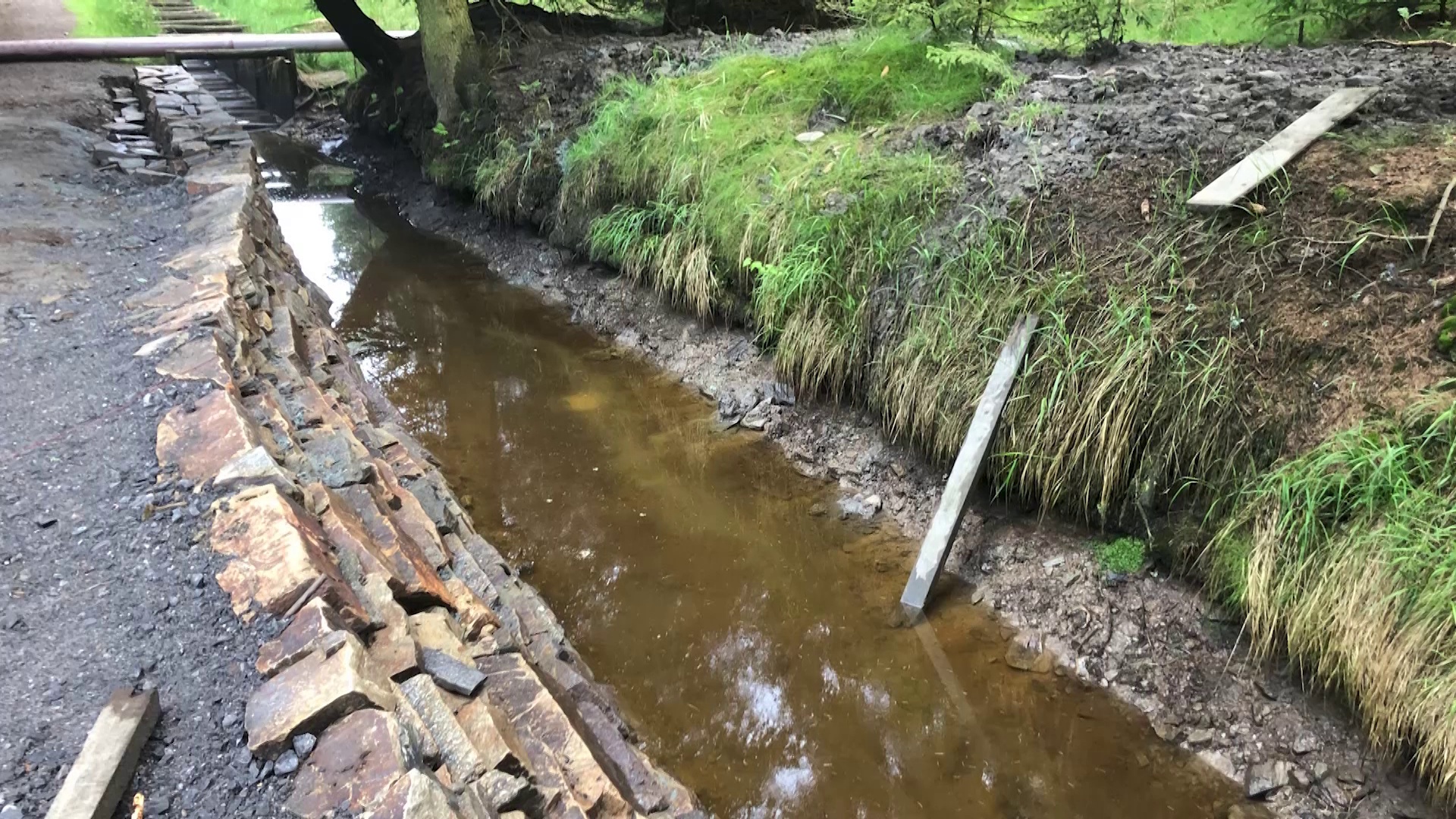 MEgional am 9. Juni 2021 mit der Sanierung des Grünen Grabens bei Kühnhaide