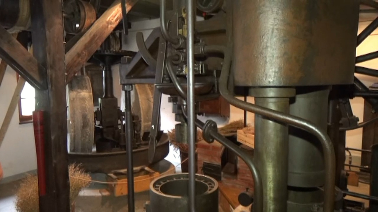 MEgional mit Szenen vom Mühlentag in der Ölmühle Pockau MEgional mit Szenen vom Mühlentag in der Ölmühle Pockau