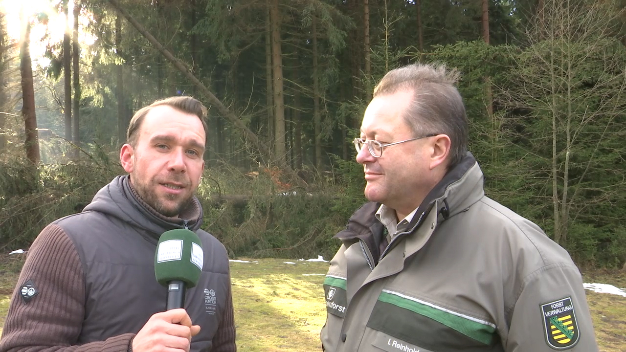 MEgional mit Informationen zu den Schäden im Erzgebirgswald MEgional mit Informationen zu den Schäden im Erzgebirgswald